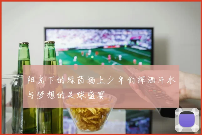 阳光下的绿茵场上少年们挥洒汗水与梦想的足球盛宴