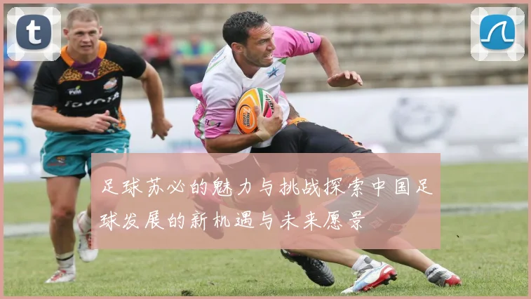 足球苏必的魅力与挑战探索中国足球发展的新机遇与未来愿景