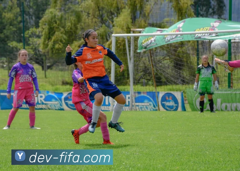 线上买球APP 高清赛事图